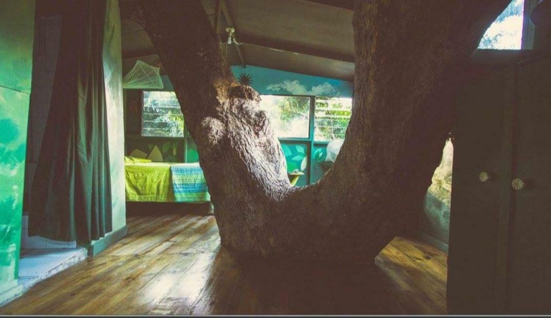 Prince Valley Guesthouse Irish Town Εξωτερικό φωτογραφία