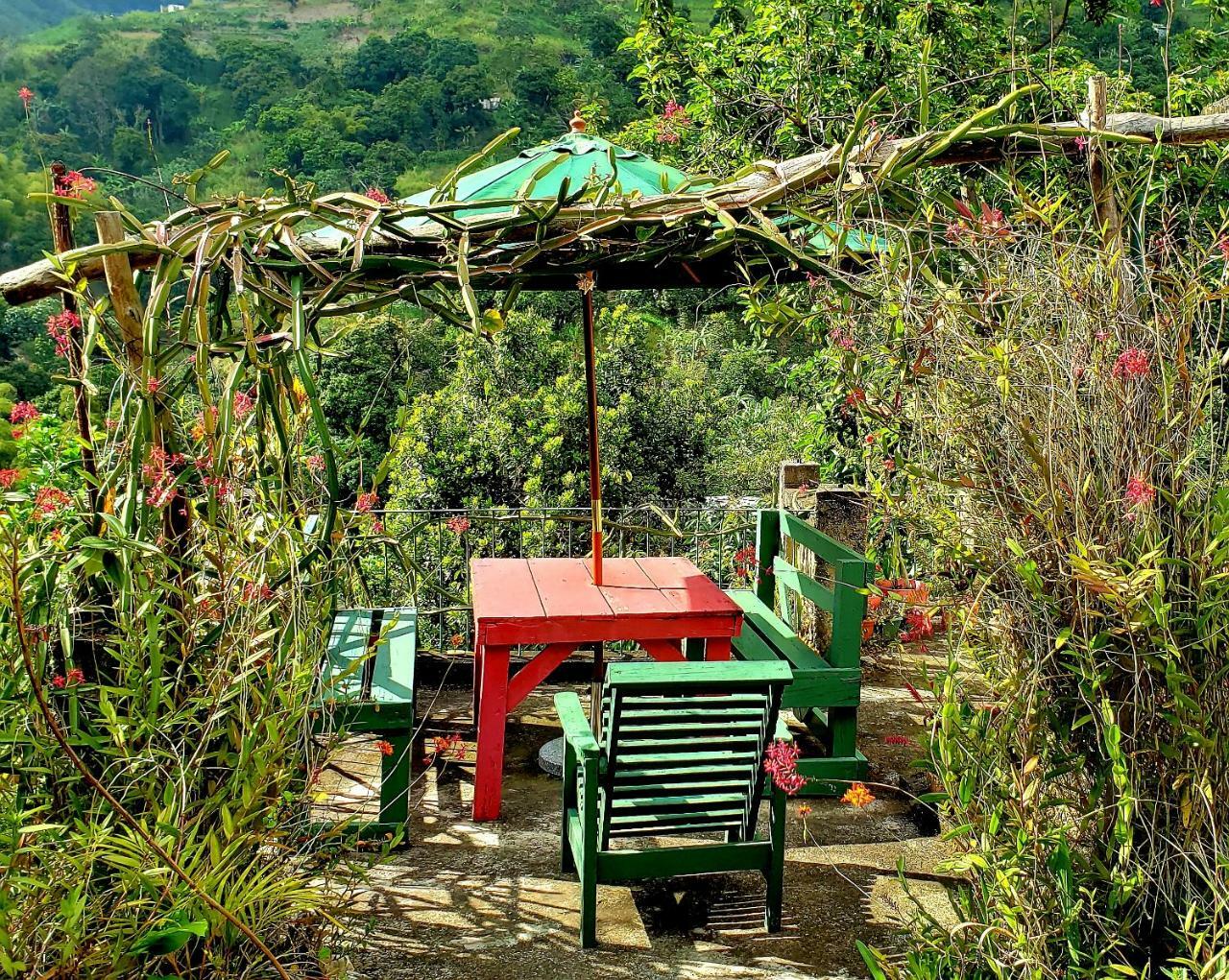 Prince Valley Guesthouse Irish Town Εξωτερικό φωτογραφία