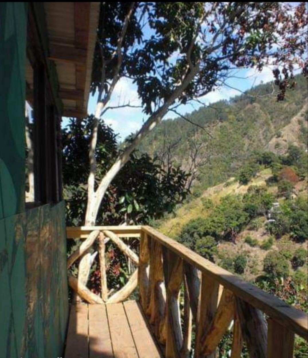 Prince Valley Guesthouse Irish Town Εξωτερικό φωτογραφία