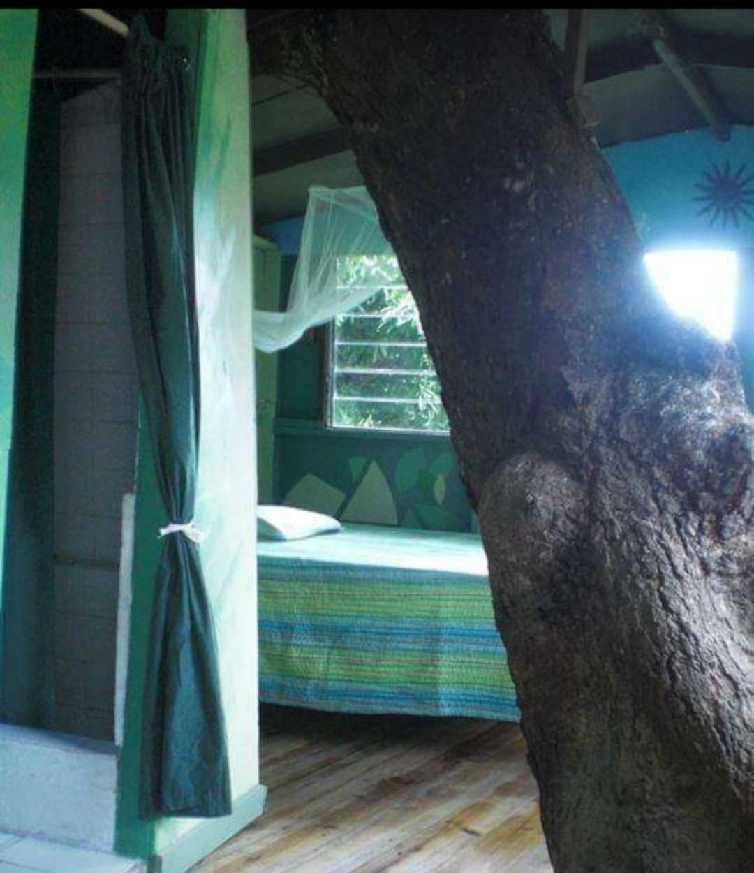 Prince Valley Guesthouse Irish Town Εξωτερικό φωτογραφία